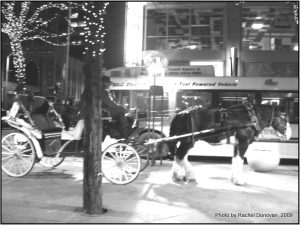 horseandbuggy